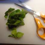 Salade courgette crue pomme et menthe 4