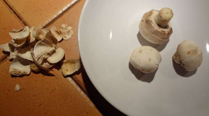 Roll eggs aux champignons 2