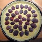 Tarte quetsches  amandes 7