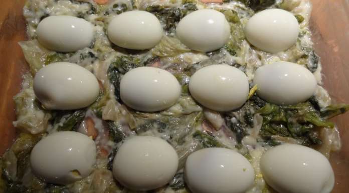 Gratin de batavia et oeufs 16
