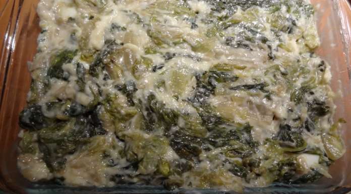 Gratin de batavia et oeufs 17