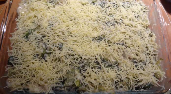 Gratin de batavia et oeufs 18