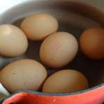 Gratin de batavia et oeufs 7