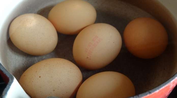 Gratin de batavia et oeufs 7