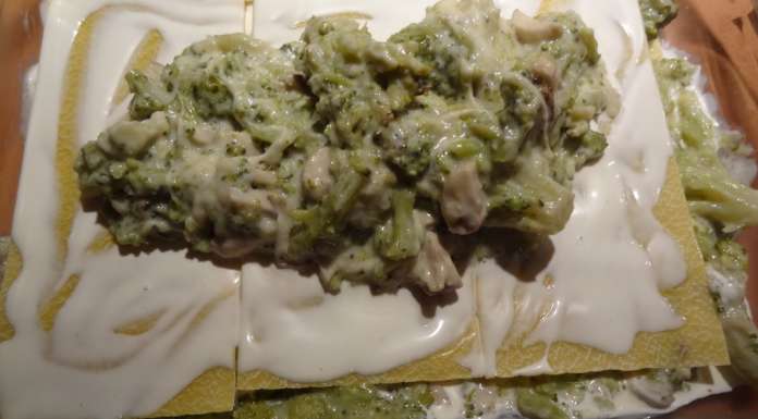 Lasagnes brocolis champignons 19