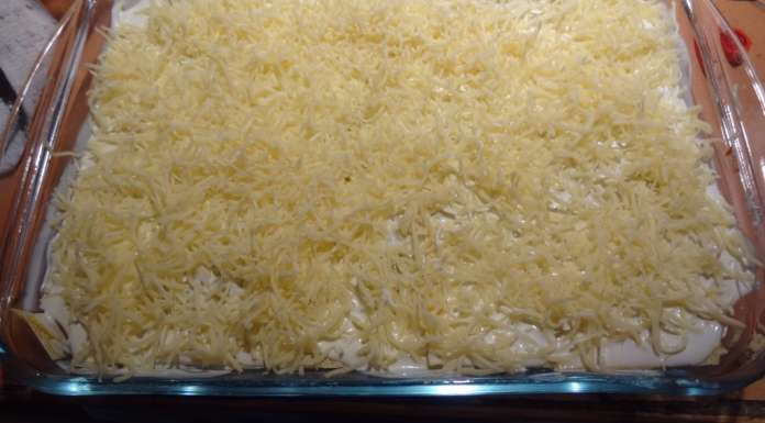 Lasagnes brocolis champignons 22