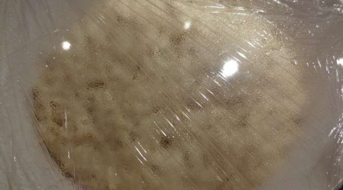 Pain aux noix et graines de lin 9