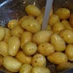 Salade aux grenailles et truite fumée 2