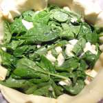 Tarte épinards mozzarella 8