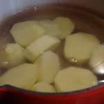 Beurek au thon 1