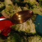 Chow mein brocolis soja 11