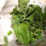 Palets menthe fraîche – chocolat 1
