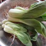 Udon coréens aux légumes 6