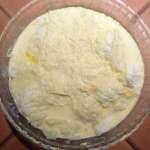 Gratin de pommes de terre saumon mozzarella 13