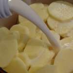 Gratin de pommes de terre saumon mozzarella 2