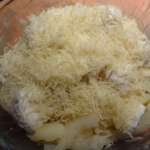 Gratin de pommes de terre saumon mozzarella 9
