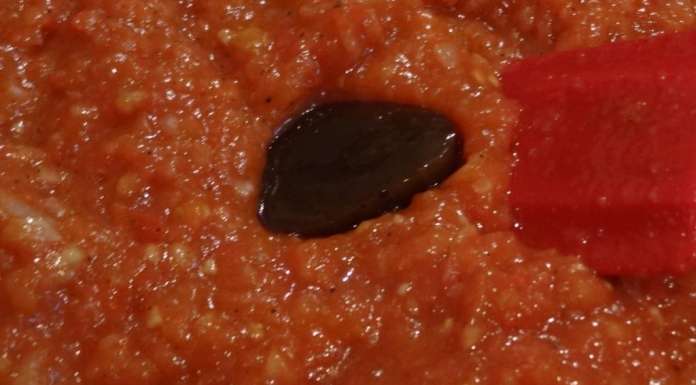 Thiou boulettes (Sénégal) 13