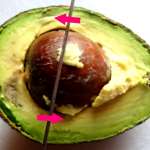 Noyau avocat