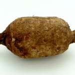dachine