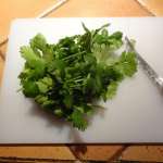 Croustades à la coriandre et chavignol 4