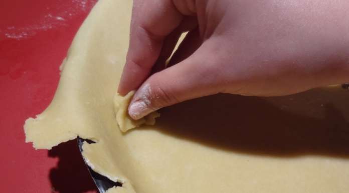 Pâte brisée pour tarte salée 10