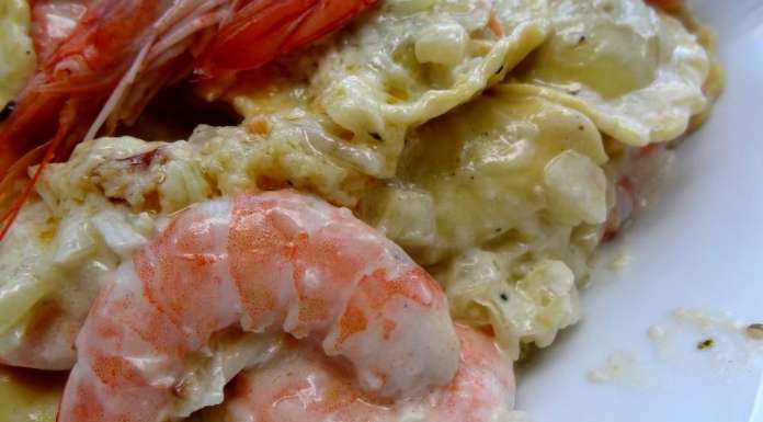 Raviolis sauce oignon et crevettes 11