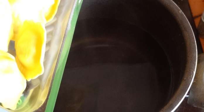 Raviolis sauce oignon et crevettes 2