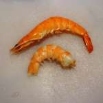 Raviolis sauce oignon et crevettes 5