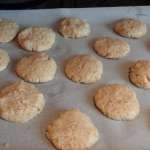 Anzac cookies 7