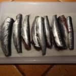 Curry de sardines au lait de coco 9