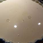 Far breton à la crème sans gluten 6