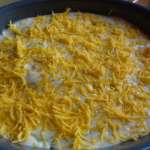 Gratin de poireaux au fromage (Belgique) 13