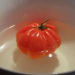 Rougail 1