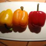 Sofrito 1