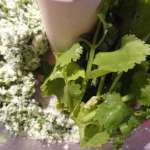 Tartines chaudes de mozzarela aux herbes 5