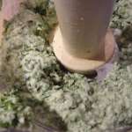 Tartines chaudes de mozzarela aux herbes 8