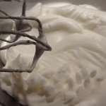 Tiramisu d&rsquo;Andrea 5