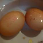 ensalada carioca  1