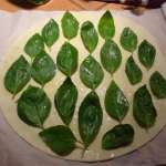 feuilletés au basilic 6