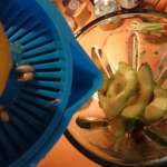 Houmous d&rsquo;avocat (Costa Rica) 3