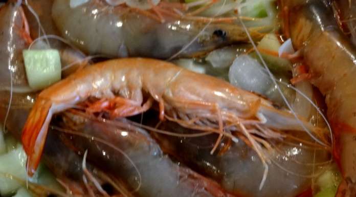 Crevettes guinéennes 12