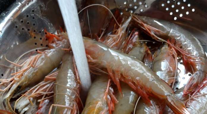 Crevettes guinéennes 5