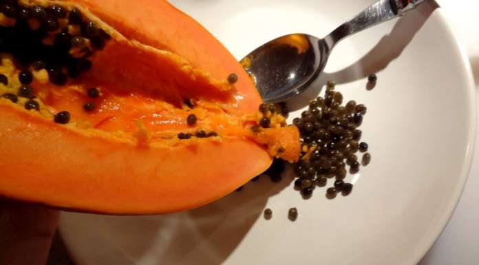 Papaya pie 10