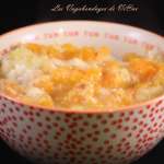 gratin fidji viane