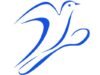 Association : Cuisiner pour la paix