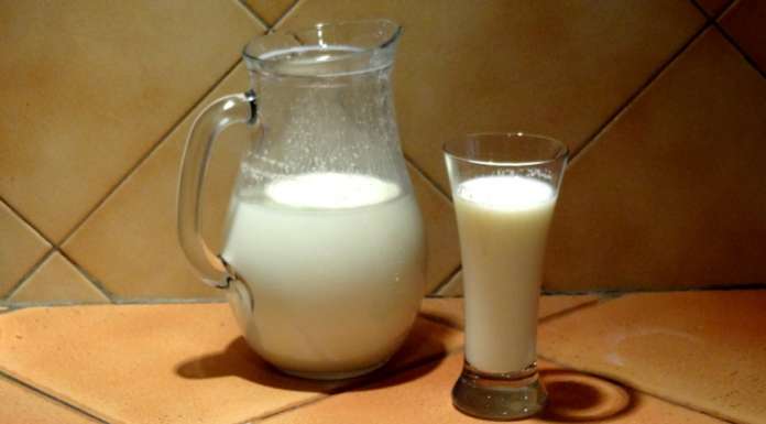 Boisson au lait fermenté