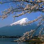 Japon