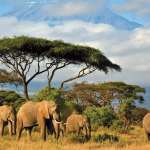Kenya
