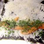 Sushis makis au saumon 5