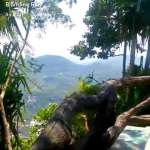 thailande-blandine